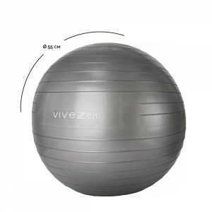 VIVEZEN Ballon De Yoga, Fitness, Gymnastique – Diam 55 Cm 10