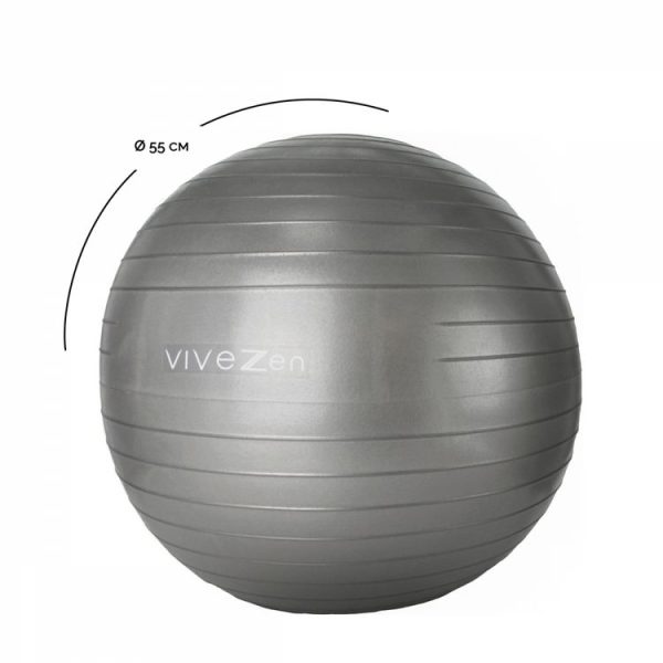 VIVEZEN Ballon De Yoga, Fitness, Gymnastique – Diam 55 Cm 3