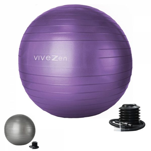 VIVEZEN Ballon De Yoga, Fitness, Gymnastique – Diam 55 Cm 5