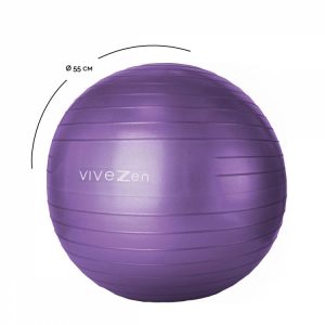 VIVEZEN Ballon De Yoga, Fitness, Gymnastique – Diam 55 Cm 16