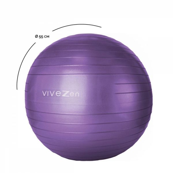 VIVEZEN Ballon De Yoga, Fitness, Gymnastique – Diam 55 Cm 6